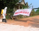 Thừa Thiên - Huế phát hiện thêm 3 ổ dịch tả heo châu Phi