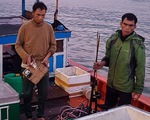 Bắt quả tang 6 tàu cá đánh bắt bằng kích điện trên vùng biển Sơn Trà