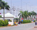 Điều tra vụ 