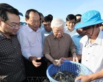 Kiên Giang kiến nghị sớm có chủ trương thành lập thành phố Phú Quốc