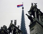 Lá cờ Việt Nam trên đỉnh tháp Nhà thờ Đức Bà Paris
