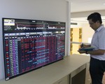 Thaco chi tiền mua gom cổ phiếu sau khi công ty nông nghiệp Hoàng Anh Gia Lai bị cảnh báo