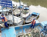 Cá lại chết nổi trên kênh Nhiêu Lộc - Thị Nghè