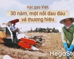 Hạt gạo Việt: 30 năm, một nỗi đau đáu về thương hiệu