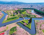Tuyệt sắc hoa anh đào giữa đất trời Hokkaido Nhật Bản
