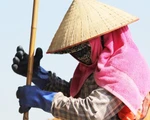 Người lao động căng mình mưu sinh trong cái nắng 