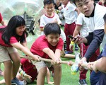 Cho trẻ trở về với thiên nhiên, học kỹ năng sinh tồn