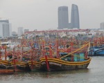 Có 19 ca mắc liên quan, Đà Nẵng đóng cửa cảng cá lớn nhất miền Trung