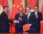 Sữa, măng cụt Việt Nam xuất khẩu chính ngạch sang Trung Quốc