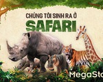 Chúng tôi sinh ra ở Safari