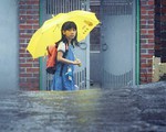 Thang máy - góc tối của sàm sỡ, dâm ô?