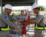 Giá xăng dầu tăng mạnh, cần bỏ lợi nhuận định mức