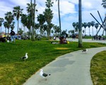 Khám phá kênh đào Venice lãng mạn trong lòng nước Mỹ