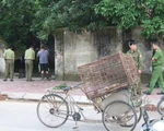 Bắt nhốt, lên phương án xử lý đàn chó cắn chết bé trai 7 tuổi