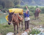 Bầy la cửu vạn ở biên viễn