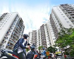 TP.HCM: 6 chủ đầu tư bị xử phạt, chỉ 1 chủ đầu tư bàn giao kinh phí bảo trì
