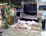 Bắt xe khách chở nửa tấn thịt heo, mỡ động vật bốc mùi hôi thối