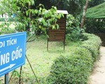 Về làng Sen, Hoàng Trù rợp bóng cây xanh