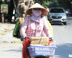 Miền Bắc, miền Trung 