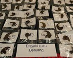 Hai người Việt săn trộm thú bị Malaysia tuyên phạt gần 9 tỉ đồng
