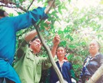Những tấm gương bình dị mà cao quý làm theo lời Bác