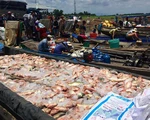 Bộ Tài nguyên - môi trường yêu cầu rà soát các nguồn thải trên sông La Ngà