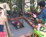 Không có chuyện “Hoa thánh” ở Kiên Giang
