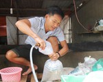 Những người trẻ của đảo Lý Sơn - Kỳ 1: Chàng kỹ sư đi bán cá