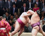 Ông Trump đi coi đấu sumo - ác mộng của mật vụ Mỹ