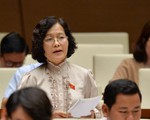 Báo cáo giám sát đất đai ở Quốc hội không nhắc Vũ 