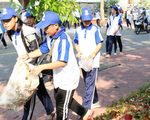 Để Côn Đảo thành 'điểm đến xanh'