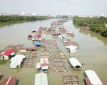 Nuôi cá không quy hoạch như 