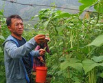Trở lại 