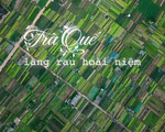 Đứng giữa làng rau Trà Quế, thấy cuộc đời luôn là sớm mai