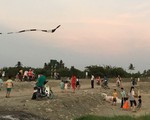 Người lớn đang làm gì với mùa hè của con trẻ?