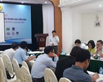 Bảo kê, băng nhóm 