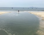 Đà Nẵng xử phạt 9 khách sạn ven biển vi phạm về môi trường