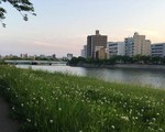 Đến Hiroshima, nơi ngân nga điệu hòa bình
