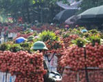 Vào chính vụ vải thiều Bắc Giang vẫn 60.000 đồng/kg