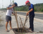 Hơn 100 nắp cống bị lấy trộm trên đường đẹp nhất Phú Quốc