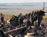 Nga rút khỏi các cuộc thảo luận về thảm họa máy bay MH17 với Hà Lan và Úc