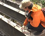 Đường ray hơn 100 năm dỡ từ cầu sắt Phú Long bị bán phế liệu