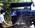 Sao cứ chờ heo bệnh rồi tiêu hủy?