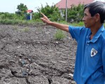 Bồi thường sai, hai cán bộ huyện ở Cà Mau bị kỷ luật