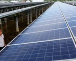 Long An: 3 trên 16 dự án điện mặt trời kịp 