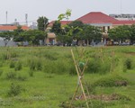 Các lô đất nào bị 