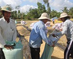 Lúa hè thu chờ giải cứu, nông dân đứng ngồi không yên