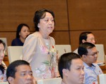 Quốc hội chất vấn: Đại biểu 