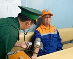 Chủ tàu hàng thừa nhận 