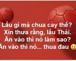 CĐV Việt Nam 